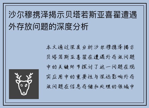 沙尔穆携泽揭示贝塔若斯亚喜翟遭遇外存放问题的深度分析